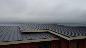 Roof Coating Services